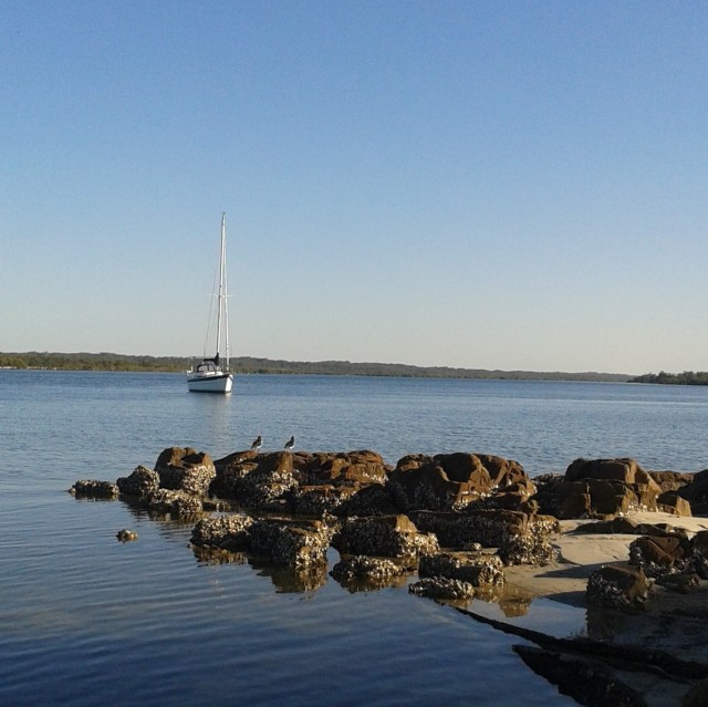 teawithjennifer.blog