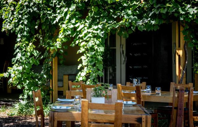 pexels-magda-ehlers-3873818