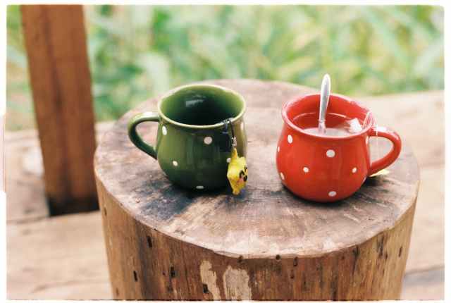 two teacups on wooden stump